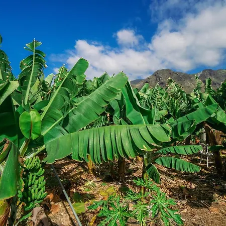 Casa Emblematica Maruca Y Leli בית נופש *