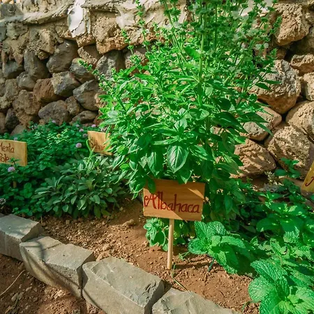 Casa Emblematica Maruca Y Leli בית נופש לוס סילוס