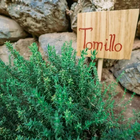 Casa Emblematica Maruca Y Leli בית נופש