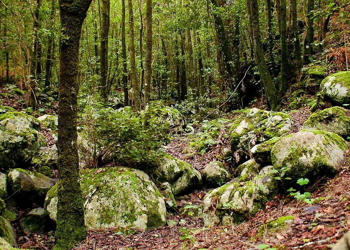 Casa Emblematica Maruca Y Leli Dom wakacyjny *
