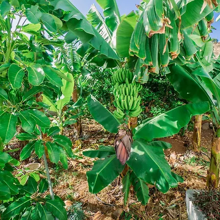 Casa Emblemática Maruca Y Leli