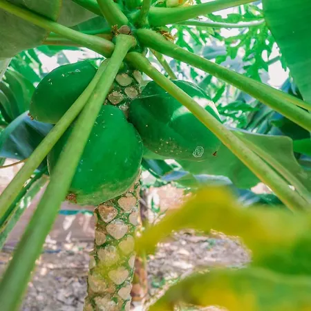 Casa Emblemática Maruca Y Leli