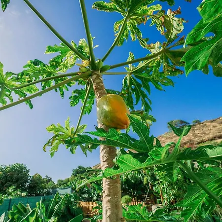 Casa Emblematica Maruca Y Leli Дом отдыха Лос-Силос