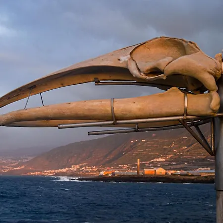 Casa Emblematica Maruca Y Leli Лос-Силос