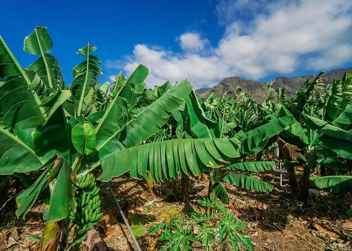 Casa Emblematica Maruca Y Leli בית נופש *