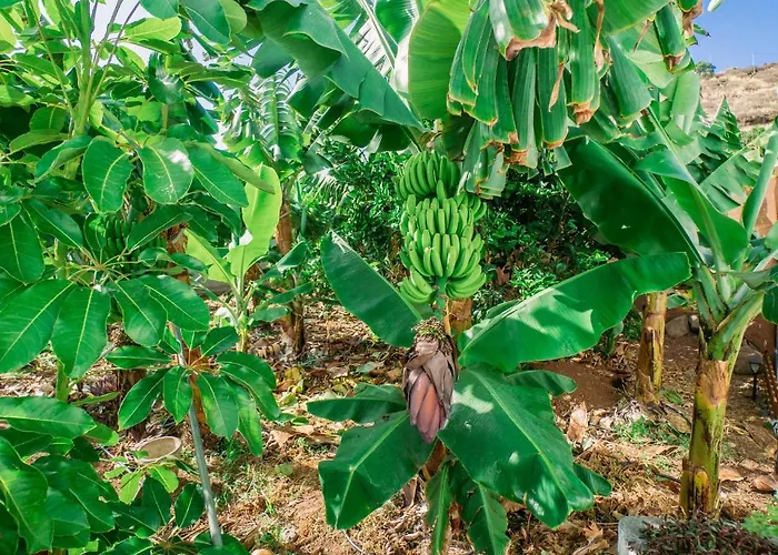 Casa Emblematica Maruca Y Leli