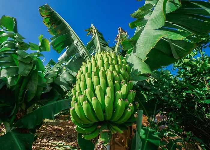 Casa Emblematica Maruca Y Leli לוס סילוס