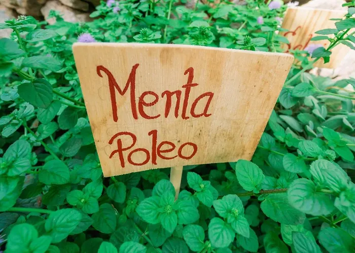 別荘 Casa Emblematica Maruca Y Leli *