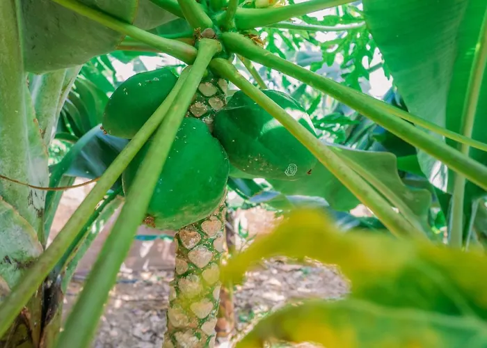 Casa Emblematica Maruca Y Leli