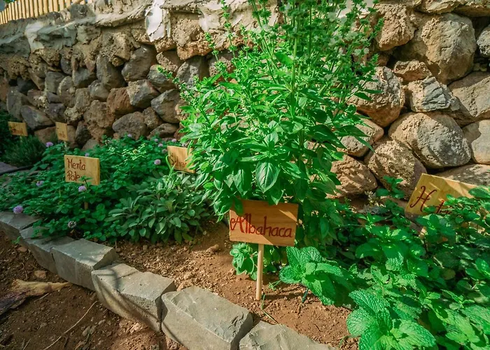 Casa Emblematica Maruca Y Leli Holiday home Los Silos