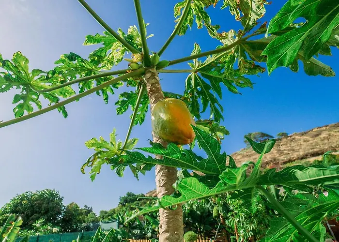 Casa Emblematica Maruca Y Leli בית נופש לוס סילוס