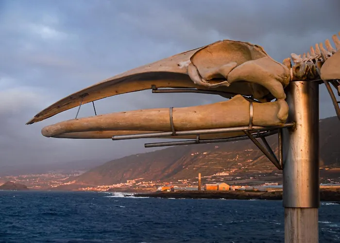 Casa Emblematica Maruca Y Leli ロス・シロス