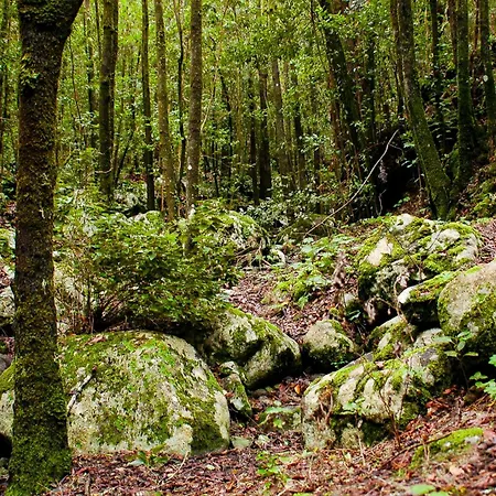 Casa Emblematica Maruca Y Leli Tatil Evi *