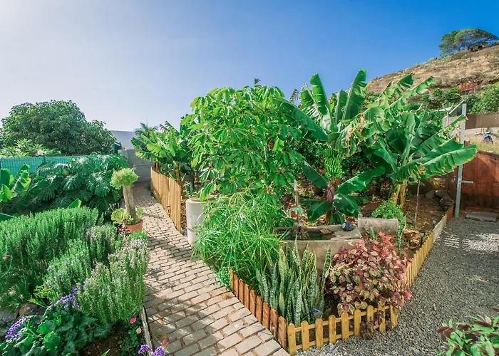 Casa Emblematica Maruca Y Leli Tatil Evi