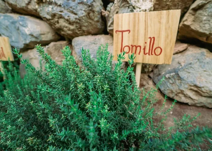 Casa Emblematica Maruca Y Leli Tatil Evi